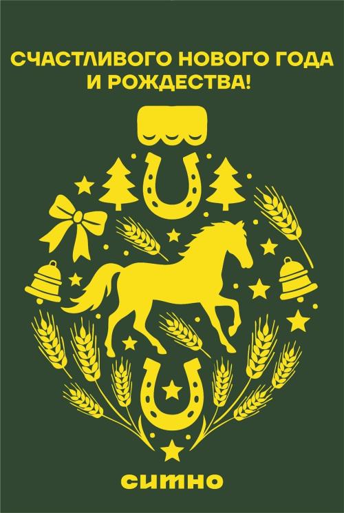 С наступающим Новым годом!