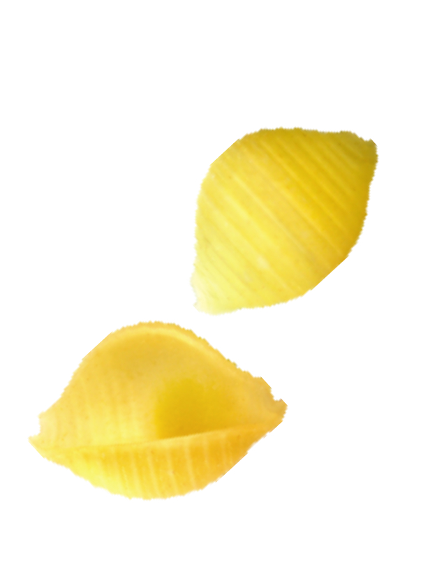 Ракушки